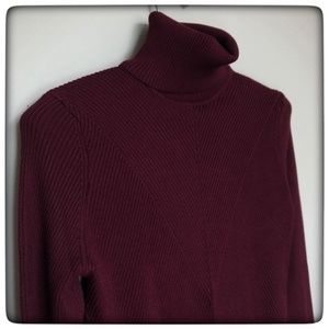 EUC - ZARA RIBBED TURTLENECK SWEATER - - sz L  fits more like a medium